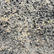 The extremely porous lava rock of the Pedregal.